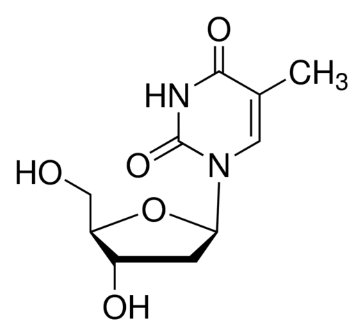 2'-脱氧胸苷