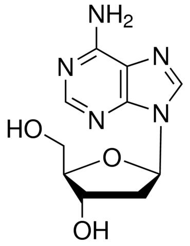 2'-脱氧腺苷