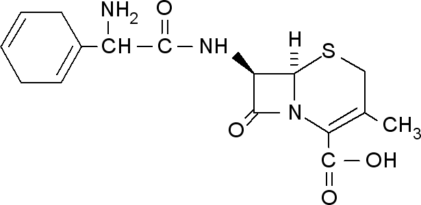 <font color='red'>头孢拉定</font>