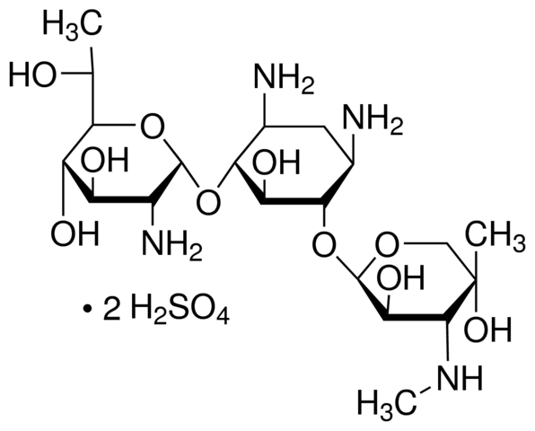 G-418 硫酸盐