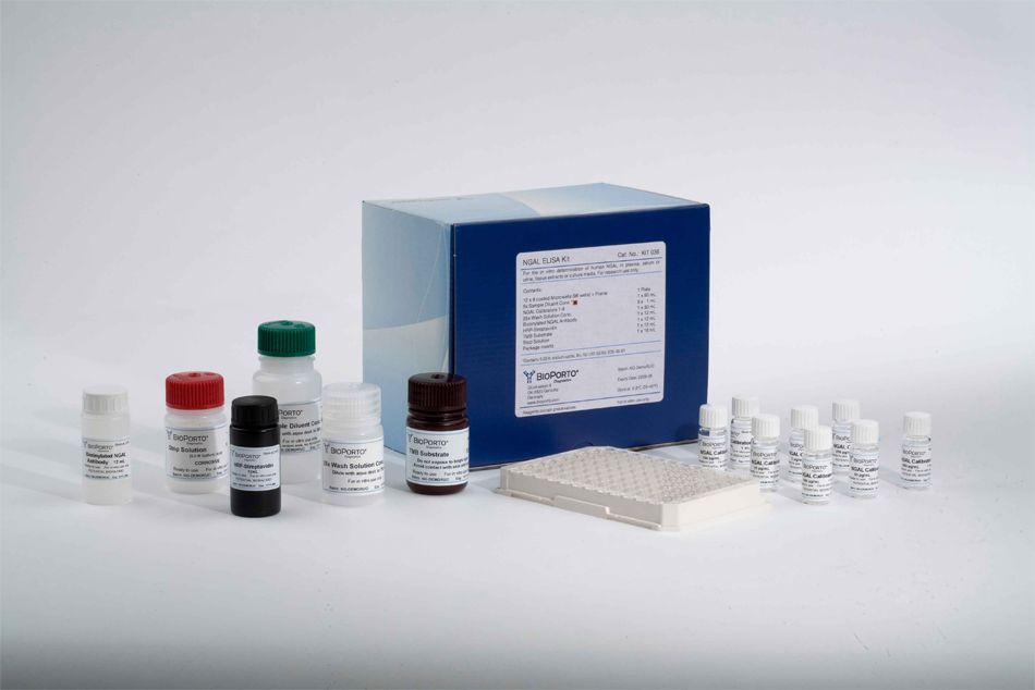 NGAL ELISA Kit  (human), 人类NGAL酶联免疫试剂盒