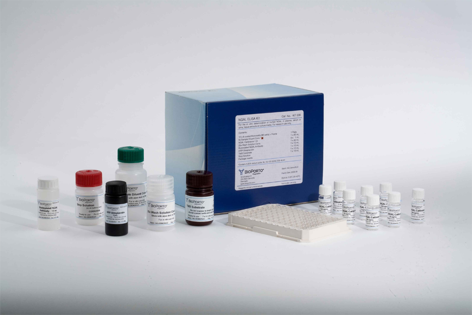 NGAL ELISA Kit  (human),<font color='red'> 人类NGAL酶联免疫试</font>剂盒