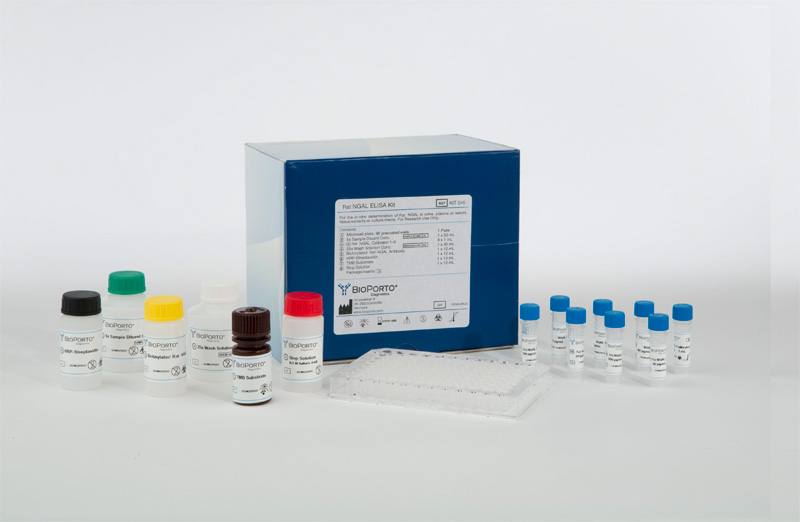 Rat NGAL ELISA Kit, 大鼠NGAL酶联免疫试剂盒