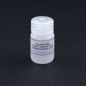 Minute(TM) 变性蛋白溶解液 Minute(TM) 变性蛋白溶解液