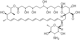 <font color='red'>两性霉素B</font>|1397-89-3|Amphotericin B