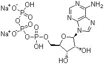 5′-三磷酸腺苷二钠