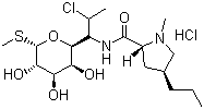 盐酸克林霉素