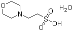 <font color='red'>2- (N-吗啉)乙磺酸</font>