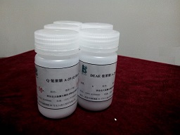 葡聚糖凝胶 LH-20