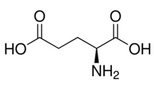 L-<font color='red'>谷氨酸</font>