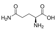 L-<font color='red'>谷氨酰胺</font>