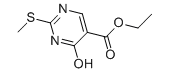 1,4-二氢-2-甲巯基-4-氧代-5-嘧啶<font color='red'>甲酸乙酯</font>