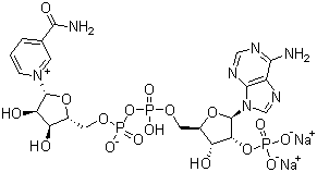 <font color='red'>NAD</font>P-2Na,Grade I（医药级）