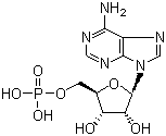 <font color='red'>5’-单磷酸腺苷</font>
