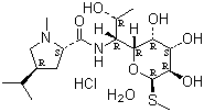 <font color='red'>盐酸林可霉素</font>一水物