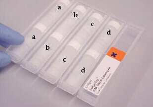 Glycan Labeling Kits <font color='red'>多糖标记试剂盒</font>