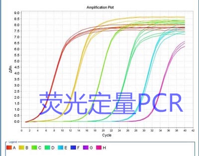荧光定量PCR技术服务