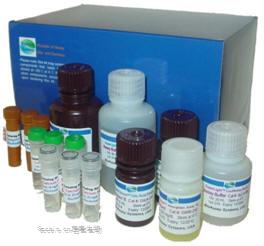 细胞活性(荧光)测试盒 CellQuanti-Blue Cell Viability Assay Kits （货号：CQBL-048/CQBL-05K）