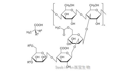 黄原胶分子量标准品 (Xanthan)
