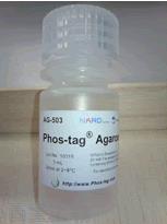 Phos-tag(TM) <font color='red'>Agarose</font> Phos-tag 琼脂糖