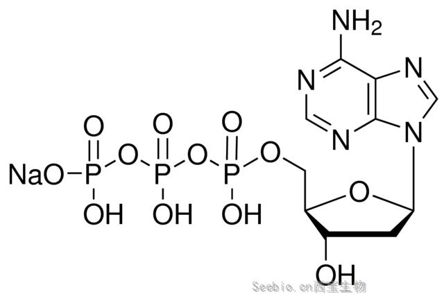 2’-脱氧腺嘌呤-<font color='red'>5</font>’-三磷酸