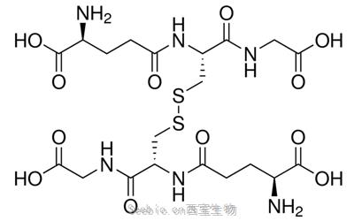 谷胱甘肽(氧化型)