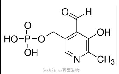 <font color='red'>5</font>-磷酸-吡哆醛.1H2O