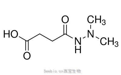 <font color='red'>丁酰肼</font> Daminozide