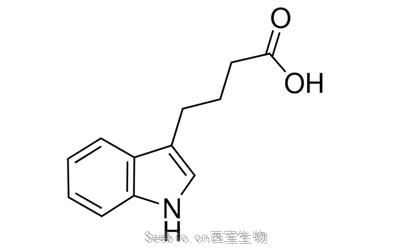吲哚-3-丁酸 IBA