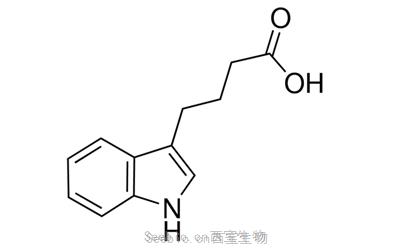 吲哚-3-丁酸 <font color='red'>IBA</font>