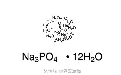 十二水合磷酸钠