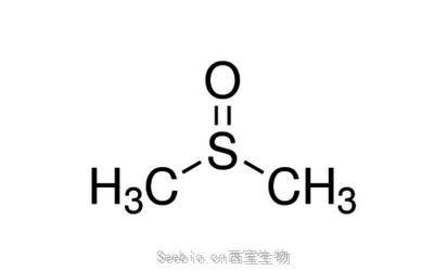 二甲基亚砜