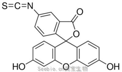 <font color='red'>异硫氰酸荧光素</font>酯, 5-FITC 5-Isothiocyanato fluorescein, CAS号 3326-32-7