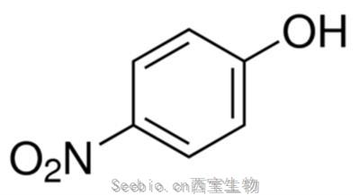 对硝基酚, 4-Nitrophenol ,100-02-7