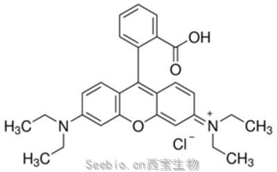 罗丹明B, 玫瑰红B