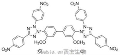 四硝基四氮唑蓝; 硝基四唑兰