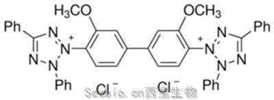 蓝四氮唑, Tetrazolium Blue Chloride, 1871-22-3