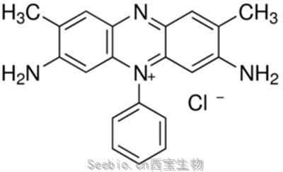 藏花红T 碱性红 2