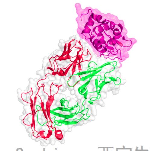 西尼罗河病毒<font color='red'>抗原</font>, 纽约株385-99