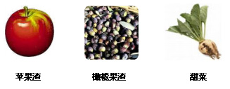 阿拉伯聚糖的生物来源