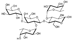 GLY068