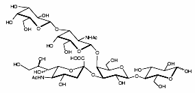 GLY096