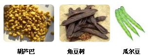 半乳甘聚糖的生物来源