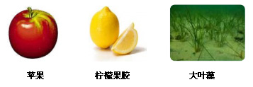 聚半乳糖醛酸的生物来源